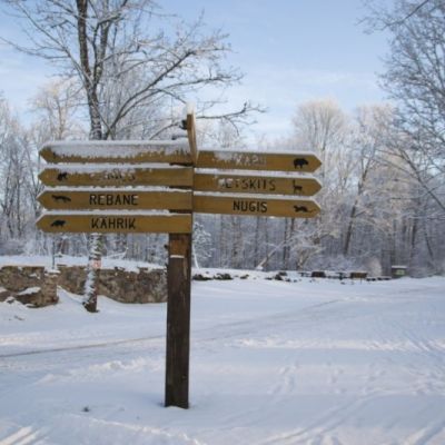 Tallinn Üniversitesi Kış İngilizce Kursu - Shared on Candelas Eğitim 22 January 2022, Saturday 16:10.