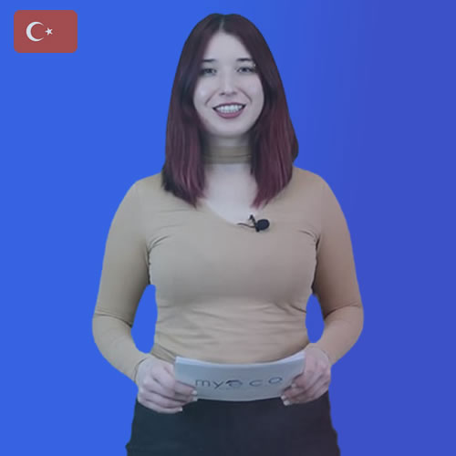 Türkçe Anlatımlı A1-A2 Elementary Temel Seviye İngilizce Kursu